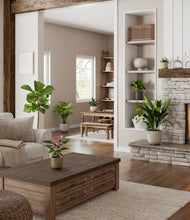 Load image into Gallery viewer, Woodland