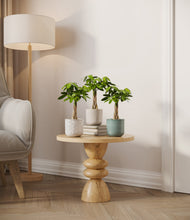 Load image into Gallery viewer, Moss Frost