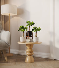 Load image into Gallery viewer, Midnight Snow stand:one_stand