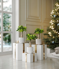 Load image into Gallery viewer, Ivory Peaks