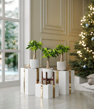 Load image into Gallery viewer, Ivory Peaks stand:one_stand