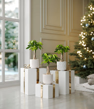 Load image into Gallery viewer, Arctic Whisper