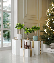 Load image into Gallery viewer, Moss Frost stand:one_stand