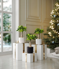 Load image into Gallery viewer, Midnight Snow