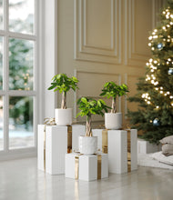 Load image into Gallery viewer, Winter Glow