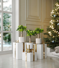 Load image into Gallery viewer, Winter Glow stand:one_stand