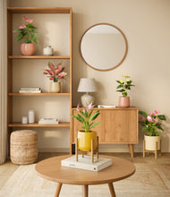 Load image into Gallery viewer, Evening Sky stand:two_stands