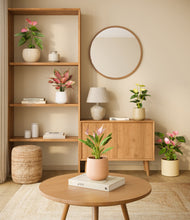 Load image into Gallery viewer, Sandy