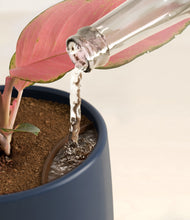 Load image into Gallery viewer, Deep Navy stand:all