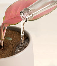 Load image into Gallery viewer, Eternal Gray stand:all