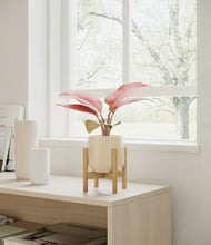 Load image into Gallery viewer, Almond Green stand:bamboo