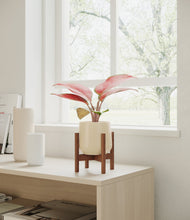 Load image into Gallery viewer, Almond Green stand:walnut