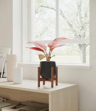 Load image into Gallery viewer, Black stand:walnut