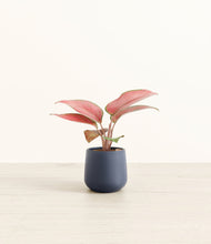 Load image into Gallery viewer, Deep Navy*****Profile