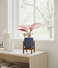 Load image into Gallery viewer, Deep Navy stand:walnut