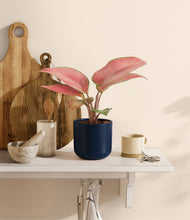 Load image into Gallery viewer, Twilight Blue