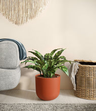 Load image into Gallery viewer, Earth Red