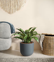 Load image into Gallery viewer, Iron Gray