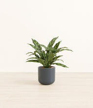 Load image into Gallery viewer, Iron Gray*****Profile