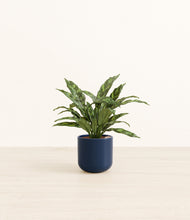 Load image into Gallery viewer, Twilight Blue*****Profile