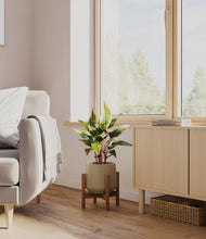 Load image into Gallery viewer, Olive stand:walnut