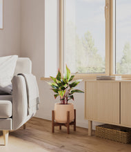 Load image into Gallery viewer, Gentle Pink stand:walnut