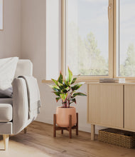 Load image into Gallery viewer, Calm Rose stand:walnut