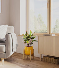 Load image into Gallery viewer, Mustard stand:bamboo