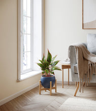 Load image into Gallery viewer, Deep Navy stand:bamboo