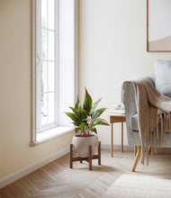 Load image into Gallery viewer, Desert Brown stand:walnut