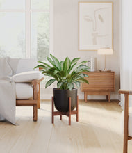 Load image into Gallery viewer, Stone Black stand:walnut