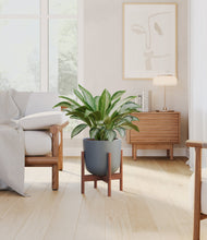 Load image into Gallery viewer, Iron Gray stand:walnut