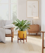 Load image into Gallery viewer, Sunset Orange stand:walnut