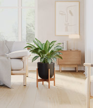 Load image into Gallery viewer, Stone Black stand:bamboo