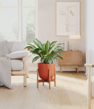 Load image into Gallery viewer, Earth Red stand:bamboo