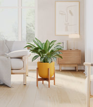 Load image into Gallery viewer, Sunset Orange stand:bamboo