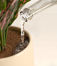 Load image into Gallery viewer, Almond Green stand:all