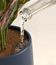 Load image into Gallery viewer, Deep Navy stand:all