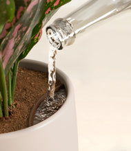 Load image into Gallery viewer, Eternal Gray stand:all