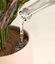 Load image into Gallery viewer, Gentle Pink stand:all