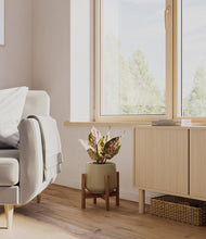 Load image into Gallery viewer, Olive stand:walnut