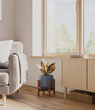 Load image into Gallery viewer, Deep Navy stand:walnut