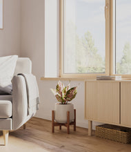 Load image into Gallery viewer, Eternal Gray stand:walnut