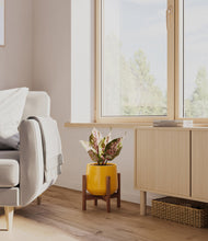 Load image into Gallery viewer, Mustard stand:walnut