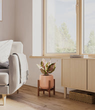 Load image into Gallery viewer, Calm Rose stand:walnut