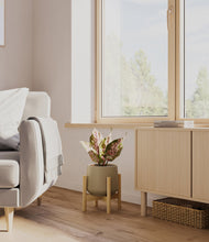 Load image into Gallery viewer, Olive stand:bamboo