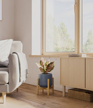 Load image into Gallery viewer, Deep Navy stand:bamboo