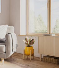 Load image into Gallery viewer, Mustard stand:bamboo