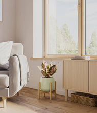 Load image into Gallery viewer, Turquoise stand:bamboo