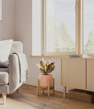 Load image into Gallery viewer, Calm Rose stand:bamboo